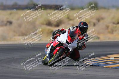 media/Nov-11-2023-SoCal Trackdays (Sat) [[efd63766ff]]/Turn 16 (11am)/